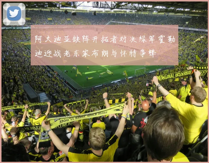 阿夫迪亚缺阵开拓者对决绿军霍勒迪迎战老东家布朗与怀特争锋