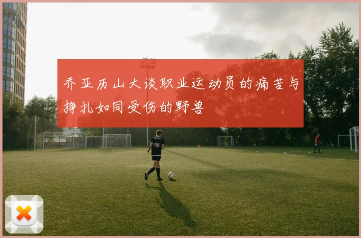 乔亚历山大谈职业运动员的痛苦与挣扎如同受伤的野兽