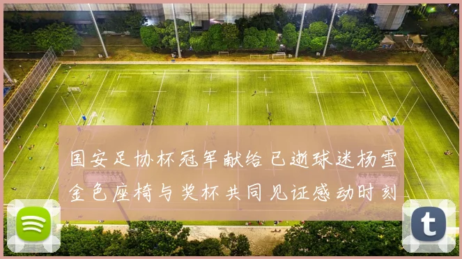 国安足协杯冠军献给已逝球迷杨雪金色座椅与奖杯共同见证感动时刻